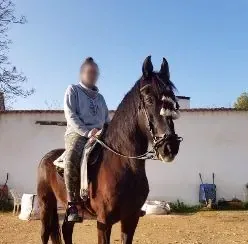 Helena, 31